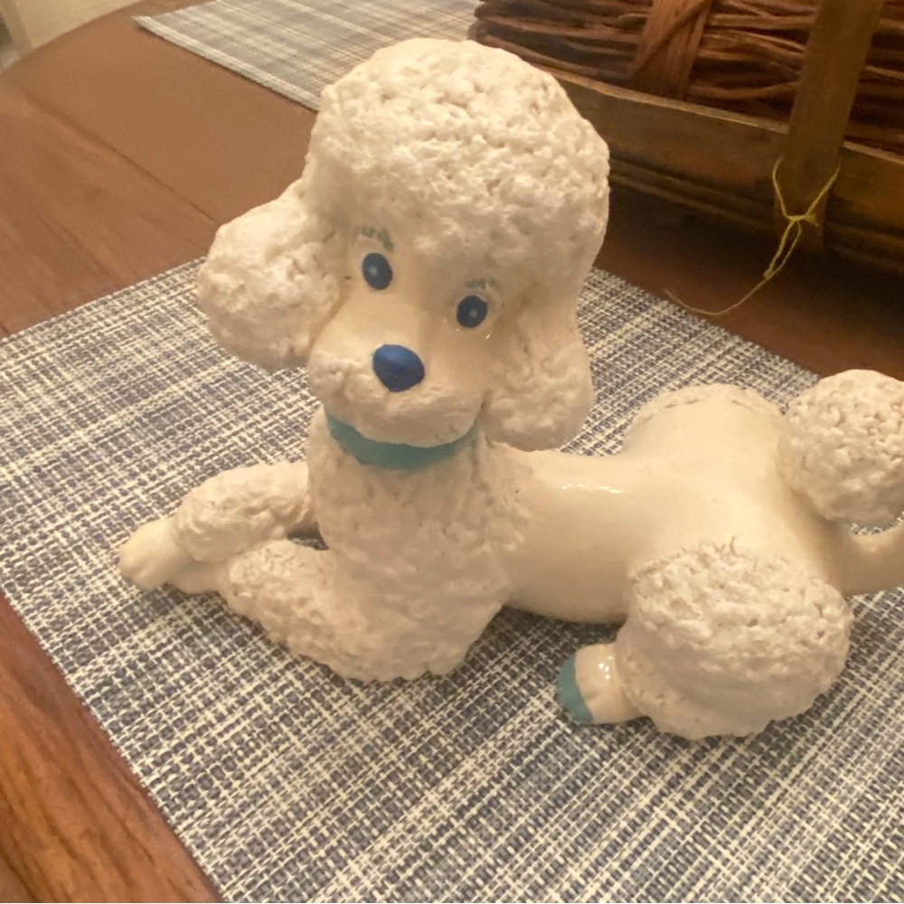 Adorable vintage style poodle